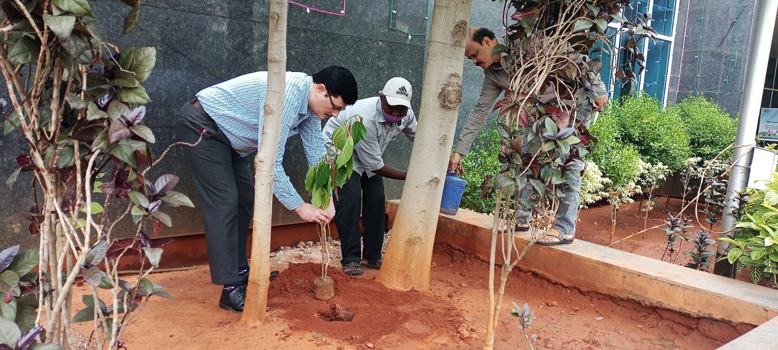 Plantation at Regional Office as a part of Swachhta Pakhwada in 2023
